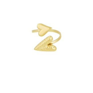 Dual affection ring goud